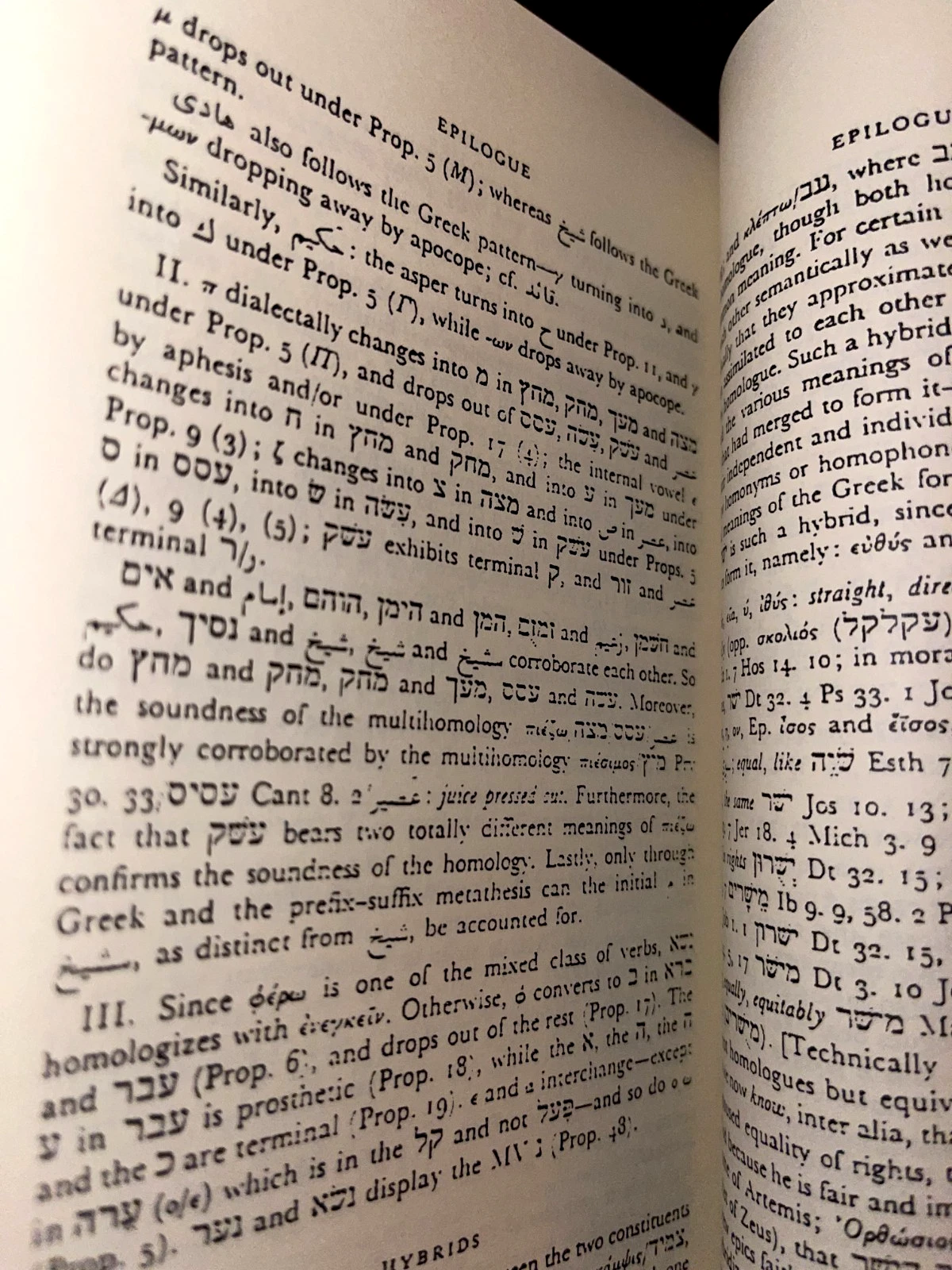 HEBREW IS GREEK the Blocked Book of Joseph Yahuda (700 pages) - Image 14