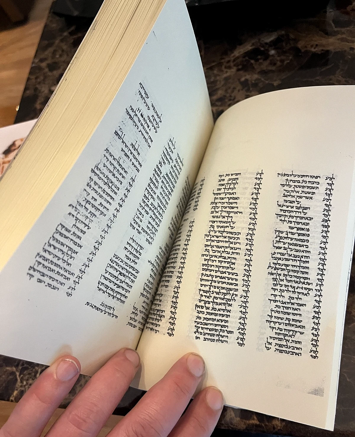 The Leningrad Codex Facsimile (Best Price Rare) - Image 6