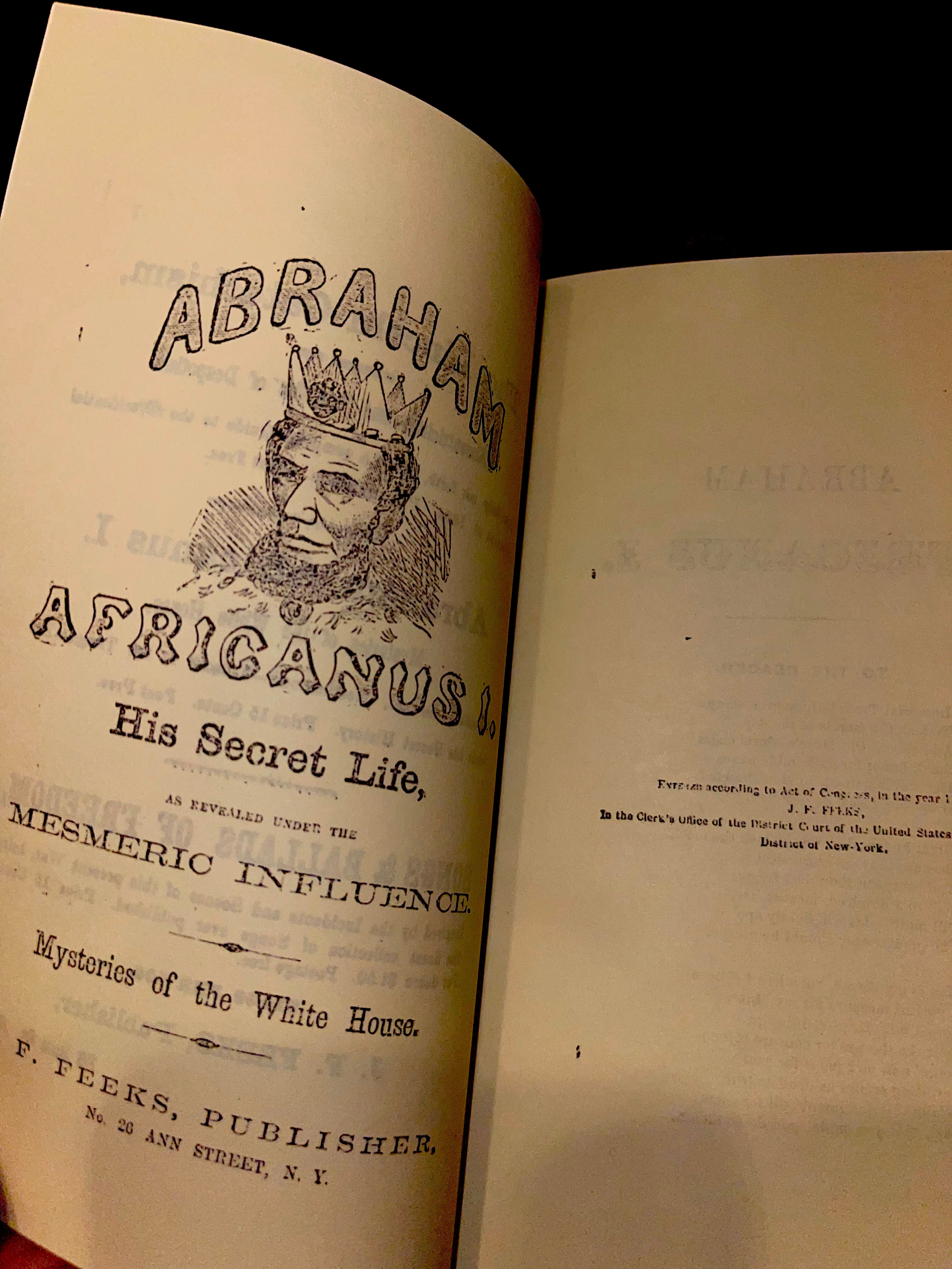 THE DECLARATION OF 1864 | Absolute Proof the Jews Murdered Lincoln (Facsimile) - Image 6